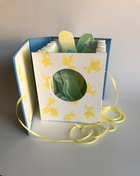 Budgie Crush in Lemon peep hole book