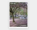 SouthCirc.® editions:  Forest Hill No.1