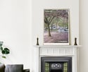 SouthCirc.® editions:  Forest Hill No.1
