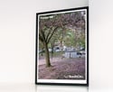SouthCirc.® editions:  Forest Hill No.1