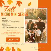 Fall Micro Mini Series 2026