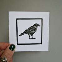 Crow card