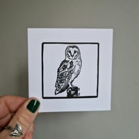 Barn owl card