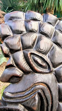 Image 3 of Testa Tiki Ku