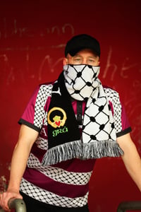 Image 1 of An Phalaistín scarf