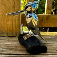 Image 3 of Kōtare (Kingfisher)