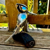 Image 4 of Kōtare (Kingfisher)