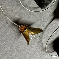Image 2 of Kōwhai Spiral