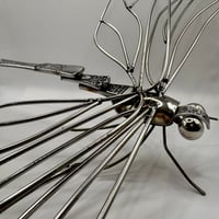 Image 1 of Dragonfly