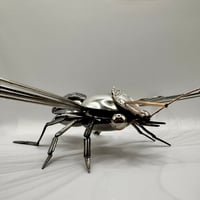 Image 3 of Bee
