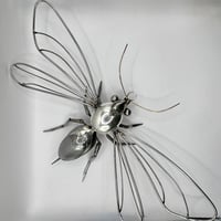 Image 1 of Bee