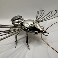 Image 4 of Bee