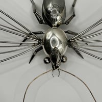 Image 6 of Bee