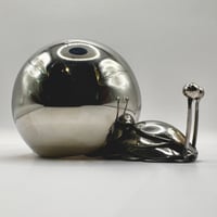 Image 1 of Snail