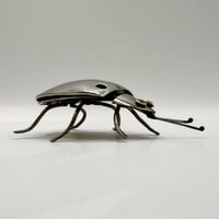 Image 4 of Ladybird / Ladybug