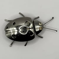 Image 5 of Ladybird / Ladybug