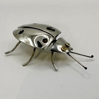 Image 3 of Ladybird / Ladybug