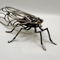Image 1 of Cicada