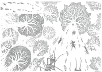 Image 1 of Ants