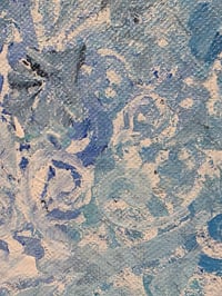 Image 7 of Blue Wren