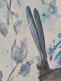 Image 8 of Blue Wren