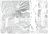 Image 1 of Ants 2