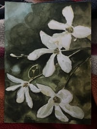 White Flowers