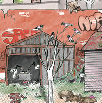 Image 2 of DDSB vinyl 