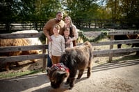 Image 1 of HIGHLAND Cow Mini Sessions~$225