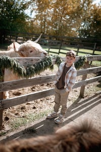 Image 5 of HIGHLAND Cow Mini Sessions~$225