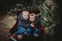 Image 1 of TREEFARM Mini Sessions~ $225