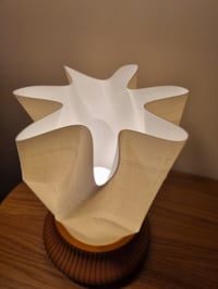 Image 3 of The ESTRELLA