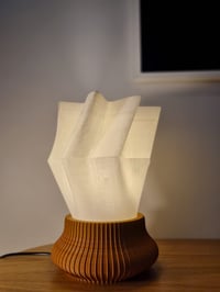 Image 2 of The ESTRELLA