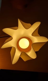 Image 4 of The ESTRELLA