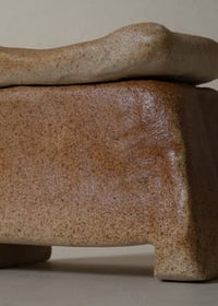 Image 4 of C+T 0209