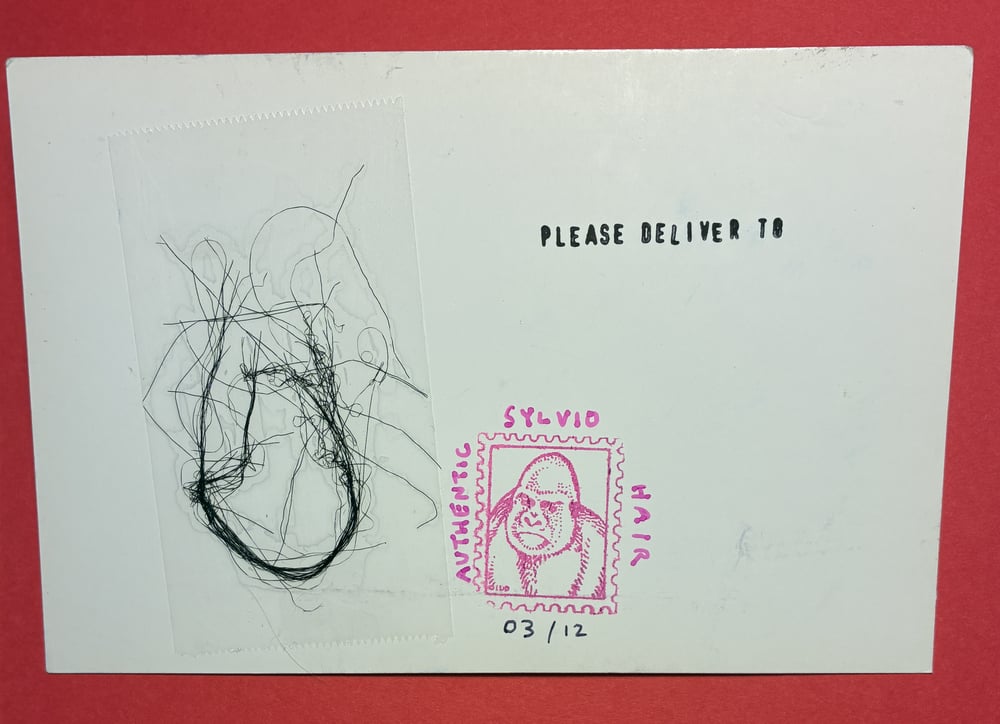 Sylvio postcard w/ Gorilla Hair