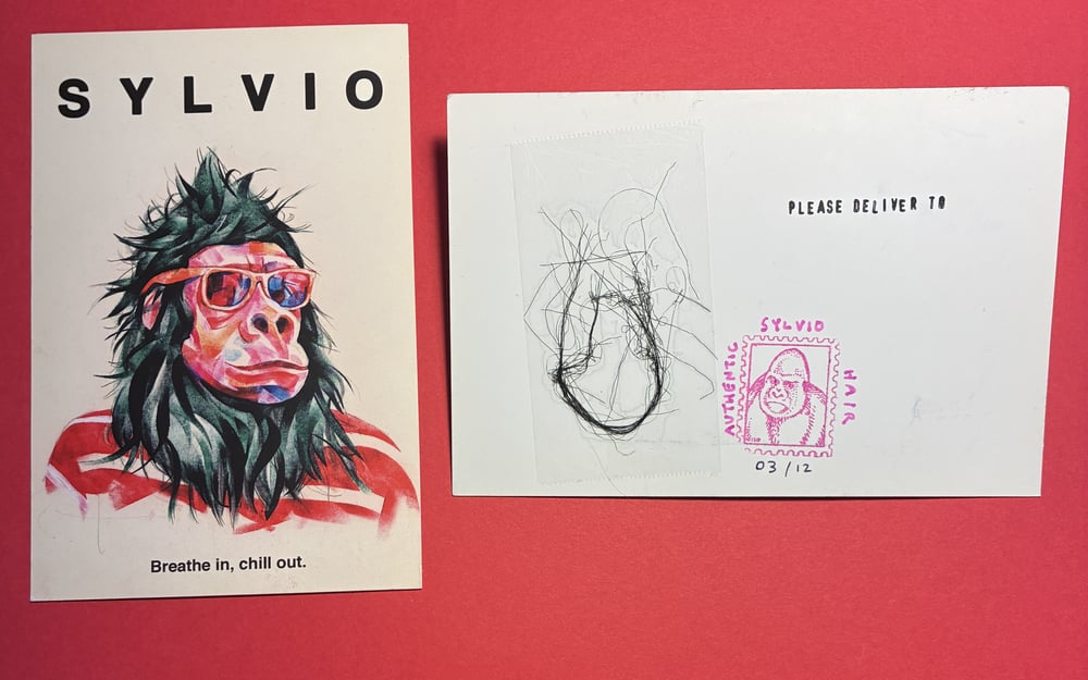 Sylvio postcard w/ Gorilla Hair