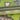 Cream to black photochromatic rod