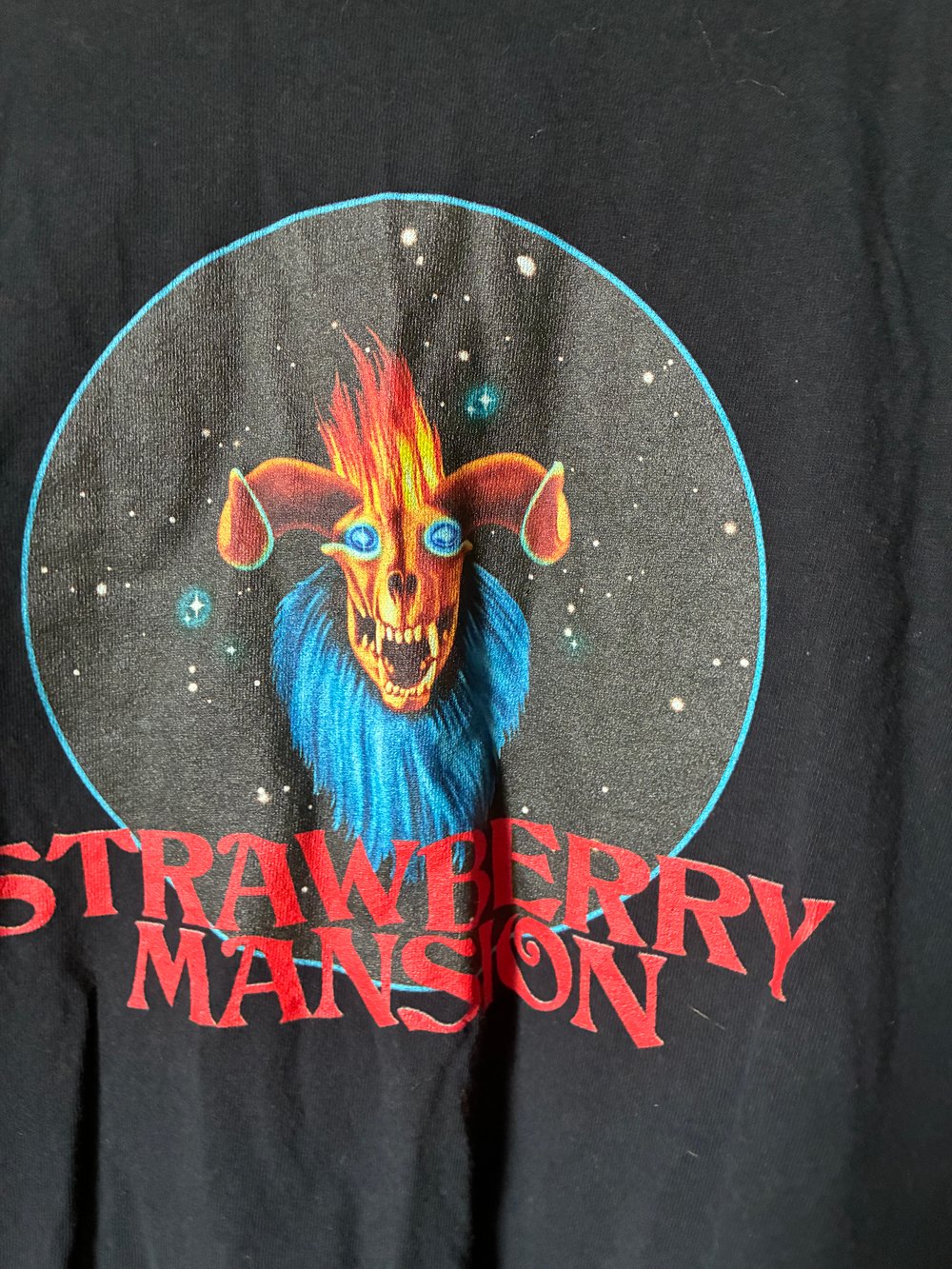 Strawberry Mansion Long Sleeve T-shirt