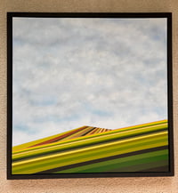 Image 3 of 'Walk the Line'
