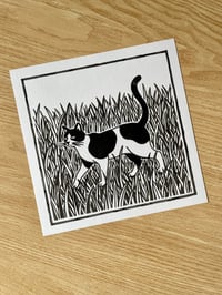 Image 2 of CHAT II