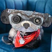 Image 3 of Custom Pet Noggins™ - Little Heads for Your Walls