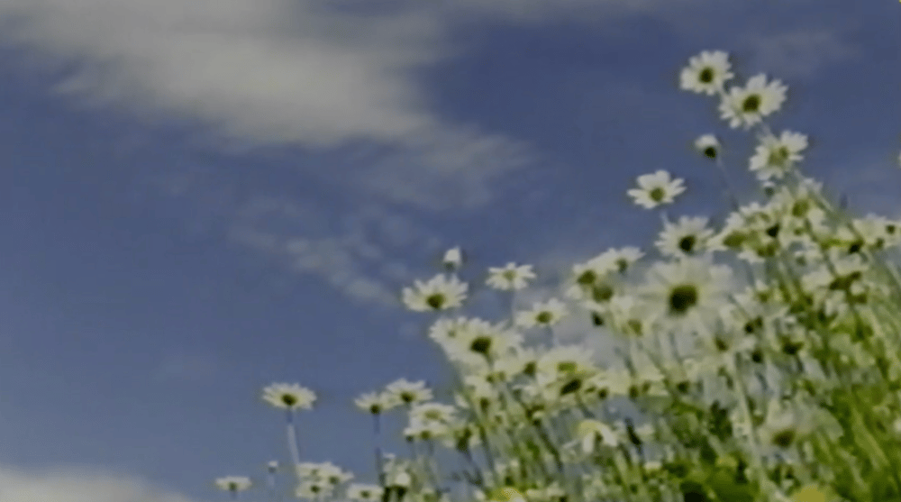 Deerhead Video Prayers Vol. 1 - Digital File (on a postcard)