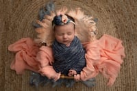 Image 2 of Micro Mini weekday newborn session