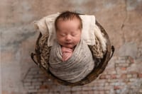 Image 4 of Micro Mini weekday newborn session