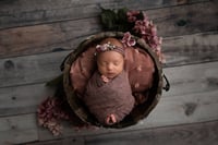 Image 5 of Micro Mini weekday newborn session