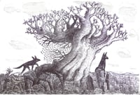 Image 1 of Storm Tree