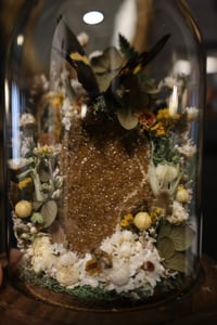 Image 7 of new store displays