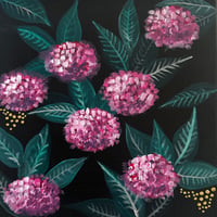 Image 1 of MIDNIGHT BLOOM