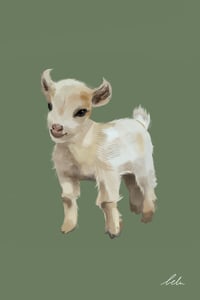 Marietta the goat